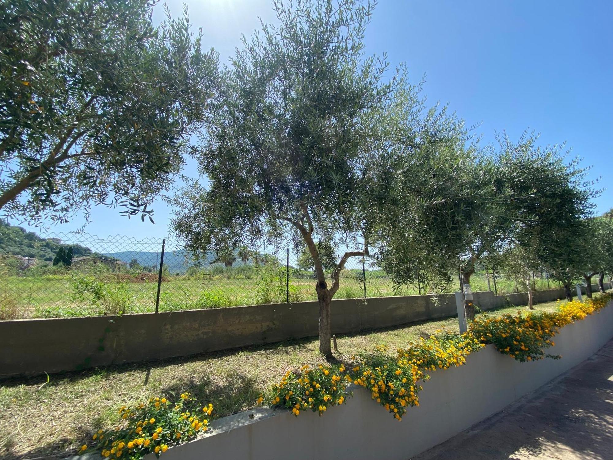 Miro' Agropoli Bed & Breakfast エクステリア 写真