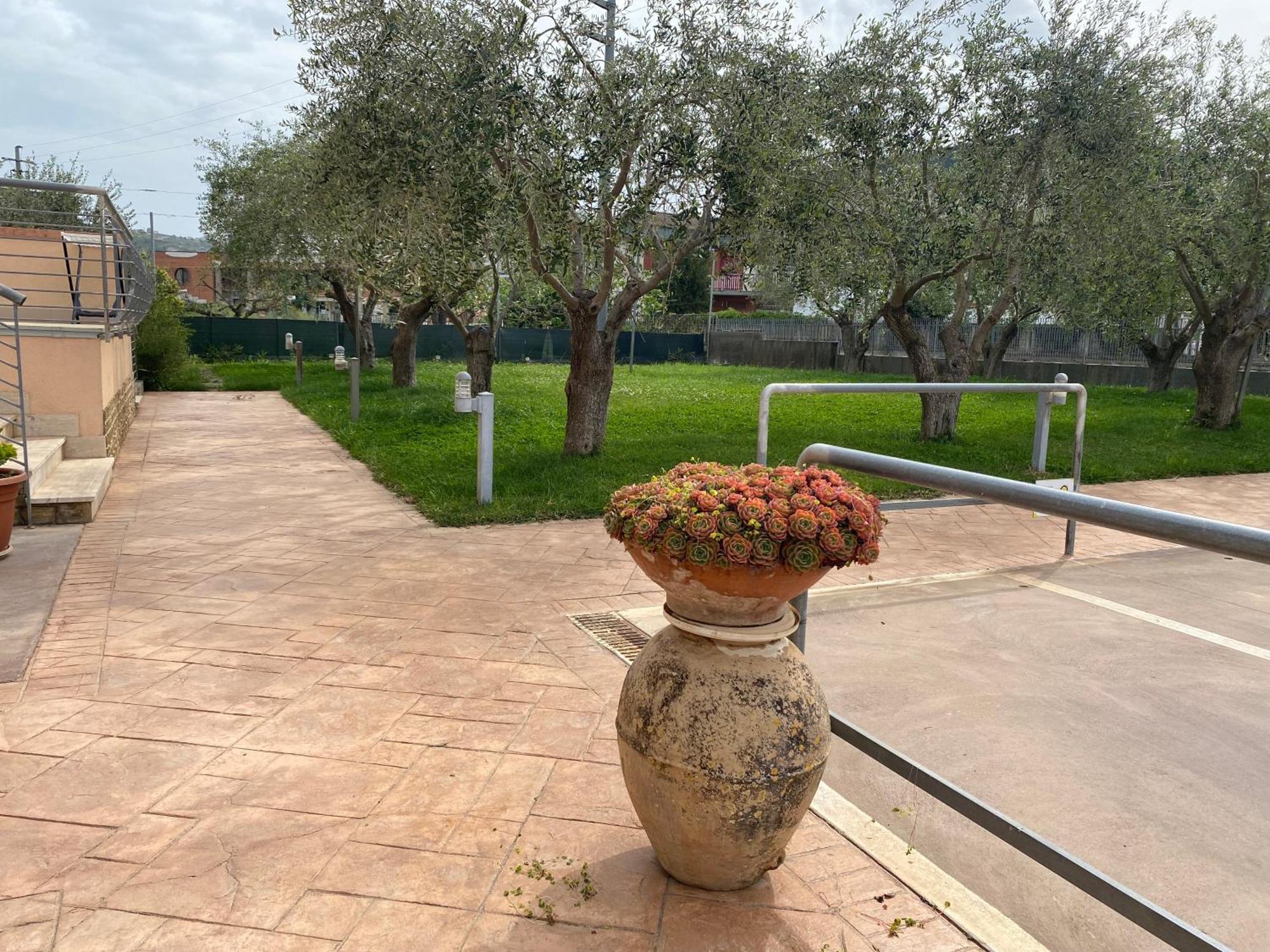 Miro' Agropoli Bed & Breakfast エクステリア 写真